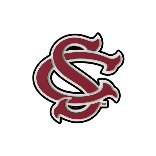 Budz | South Carolina Gamecocks image 1